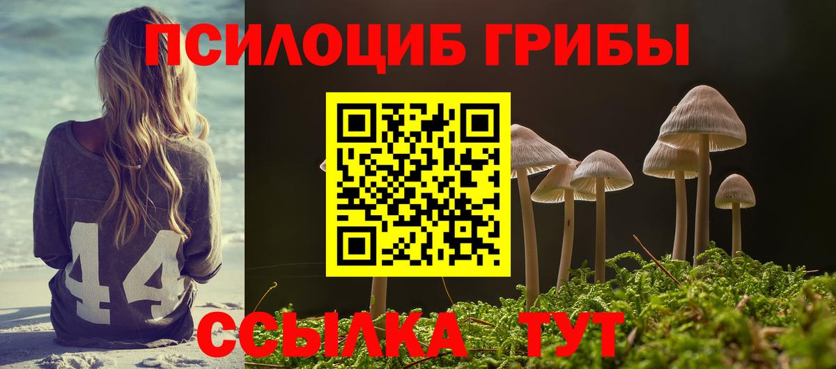 Галлюциногенные грибы ЛСД Карачаевск