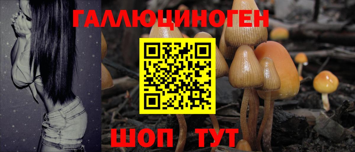 Псилоцибиновые грибы ЛСД  Вход с VPN  Карачаевск 