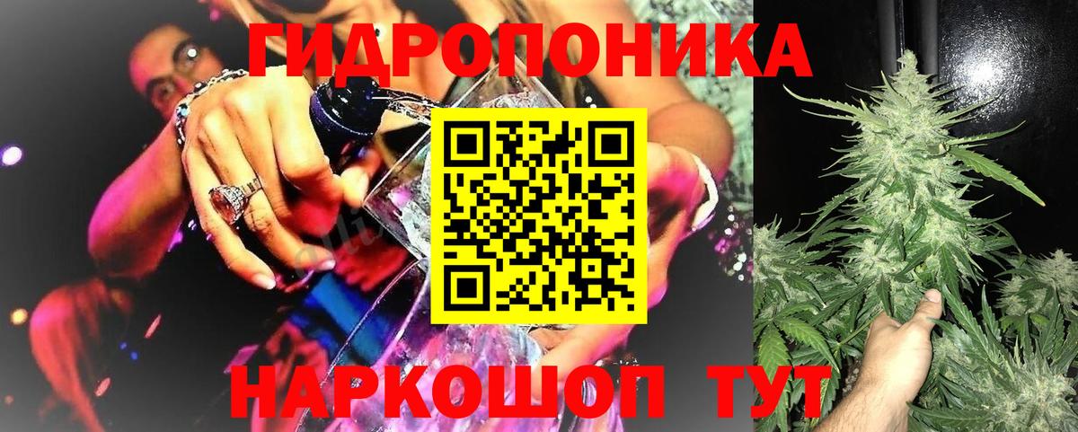 Каннабис планчик  Вход с VPN  Конопля конопля  Карачаевск  МАРИХУАНА VHQ  Канабис сатива 